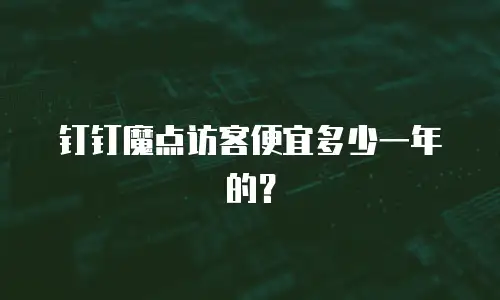 钉钉魔点访客便宜多少一年的？