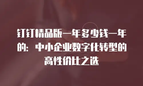 钉钉精品版一年多少钱一年的：中小企业数字化转型的高性价比之选