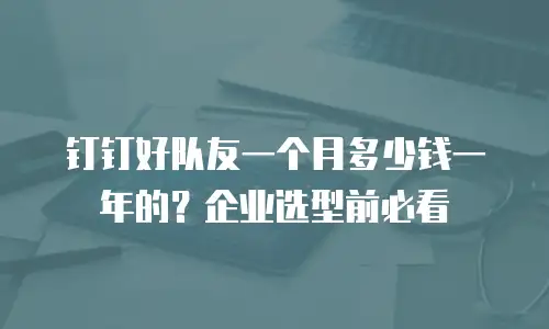 钉钉好队友一个月多少钱一年的？企业选型前必看