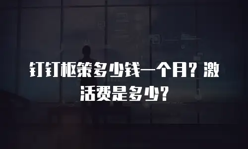 钉钉枢策多少钱一个月？激活费是多少？