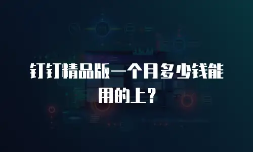 钉钉精品版一个月多少钱能用的上？