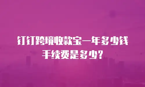 钉钉跨境收款宝一年多少钱手续费是多少？