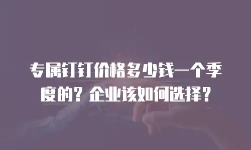 专属钉钉价格多少钱一个季度的？企业该如何选择？