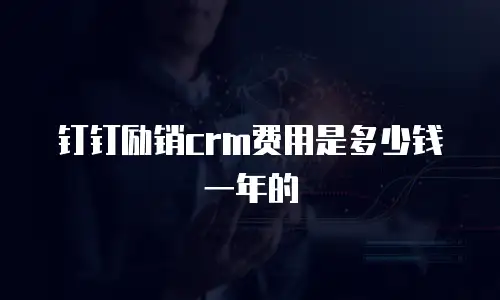 钉钉励销crm费用是多少钱一年的