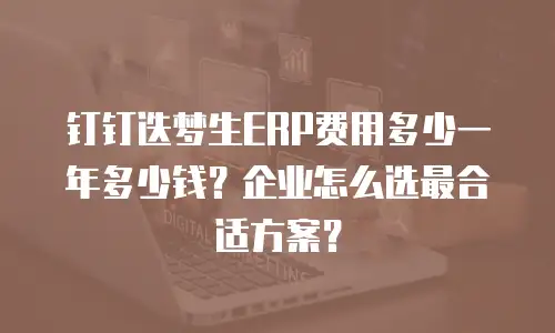 钉钉迭梦生ERP费用多少一年多少钱？企业怎么选最合适方案？