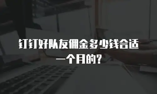 钉钉好队友佣金多少钱合适一个月的？