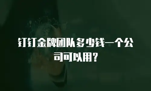 钉钉金牌团队多少钱一个公司可以用？