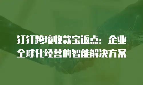 钉钉跨境收款宝返点：企业全球化经营的智能解决方案