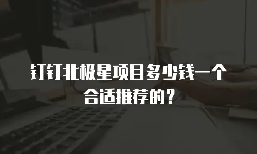 钉钉北极星项目多少钱一个合适推荐的？