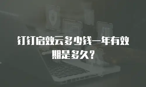 钉钉启效云多少钱一年有效期是多久？