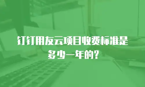 钉钉用友云项目收费标准是多少一年的？