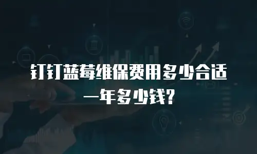 钉钉蓝莓维保费用多少合适一年多少钱？