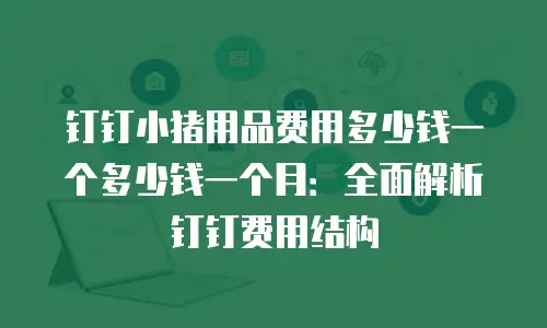 钉钉小猪用品费用多少钱一个多少钱一个月：全面解析钉钉费用结构