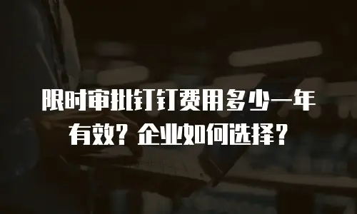 限时审批钉钉费用多少一年有效？企业如何选择？
