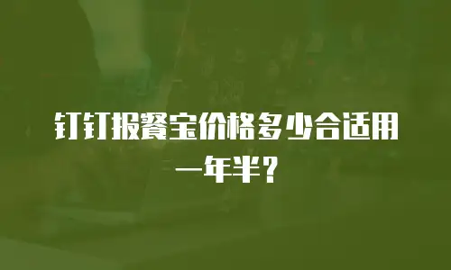 钉钉报餐宝价格多少合适用一年半？