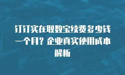 钉钉实在取数宝续费多少钱一个月？企业真实使用成本解析