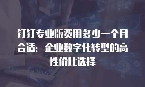 钉钉专业版费用多少一个月合适：企业数字化转型的高性价比选择