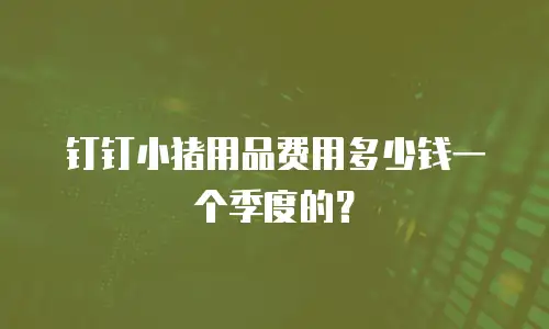 钉钉小猪用品费用多少钱一个季度的？