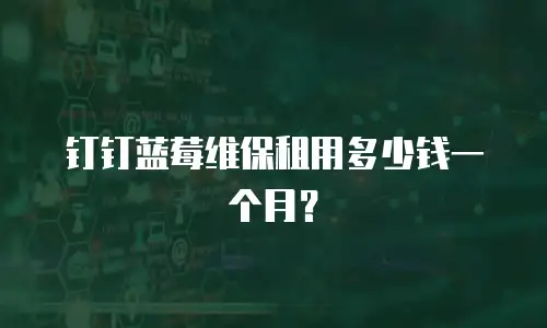 钉钉蓝莓维保租用多少钱一个月？