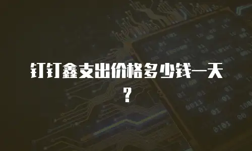 钉钉鑫支出价格多少钱一天？