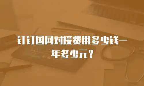 钉钉国网对接费用多少钱一年多少元？