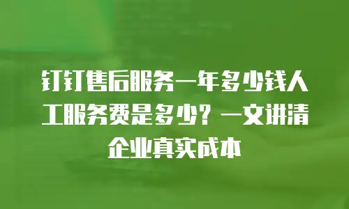 钉钉售后服务一年多少钱人工服务费是多少？一文讲清企业真实成本