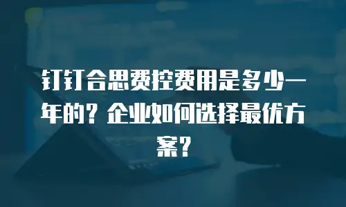 钉钉合思费控费用是多少一年的？企业如何选择最优方案？