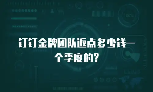 钉钉金牌团队返点多少钱一个季度的？