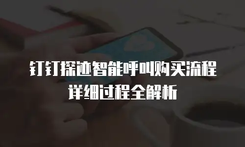 钉钉探迹智能呼叫购买流程详细过程全解析