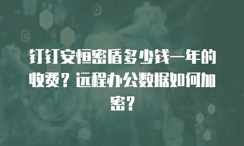 钉钉安恒密盾多少钱一年的收费？远程办公数据如何加密？