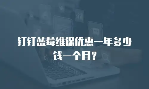 钉钉蓝莓维保优惠一年多少钱一个月？