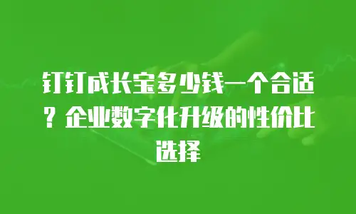 钉钉成长宝多少钱一个合适？企业数字化升级的性价比选择