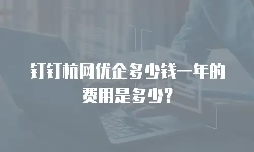 钉钉杭网优企多少钱一年的费用是多少？