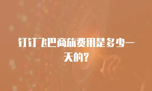 钉钉飞巴商旅费用是多少一天的？