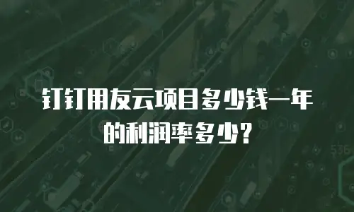 钉钉用友云项目多少钱一年的利润率多少？