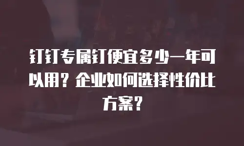 钉钉专属钉便宜多少一年可以用？企业如何选择性价比方案？