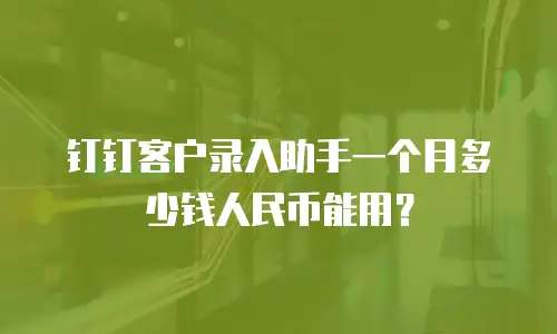 钉钉客户录入助手一个月多少钱人民币能用？