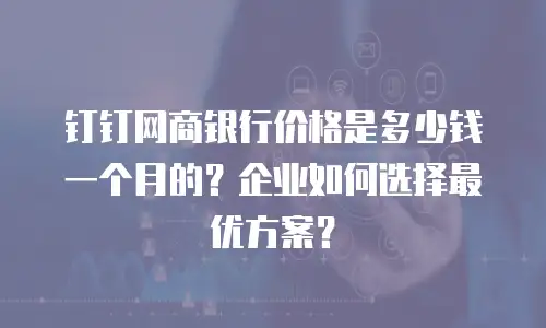 钉钉网商银行价格是多少钱一个月的？企业如何选择最优方案？