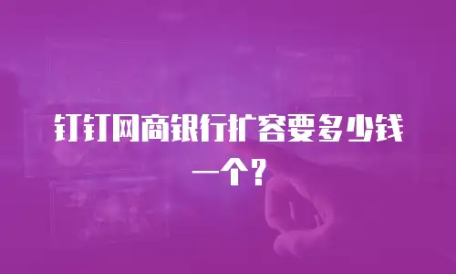 钉钉网商银行扩容要多少钱一个？