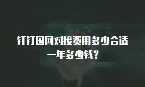 钉钉国网对接费用多少合适一年多少钱？