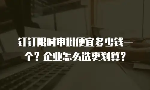 钉钉限时审批便宜多少钱一个？企业怎么选更划算？