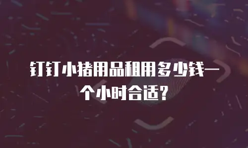 钉钉小猪用品租用多少钱一个小时合适？