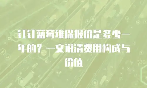 钉钉蓝莓维保报价是多少一年的？一文说清费用构成与价值