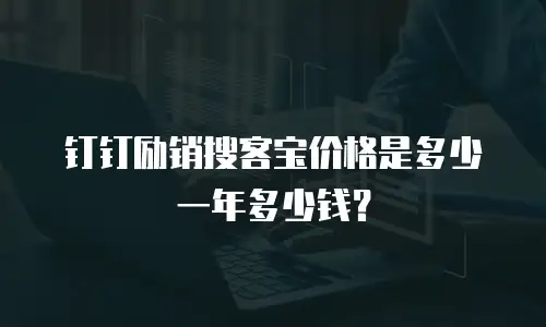 钉钉励销搜客宝价格是多少一年多少钱？