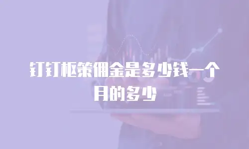 钉钉枢策佣金是多少钱一个月的多少