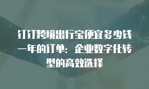 钉钉跨境出行宝便宜多少钱一年的订单：企业数字化转型的高效选择