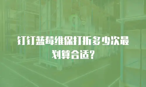 钉钉蓝莓维保打折多少次最划算合适？
