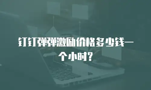 钉钉弹弹激励价格多少钱一个小时？