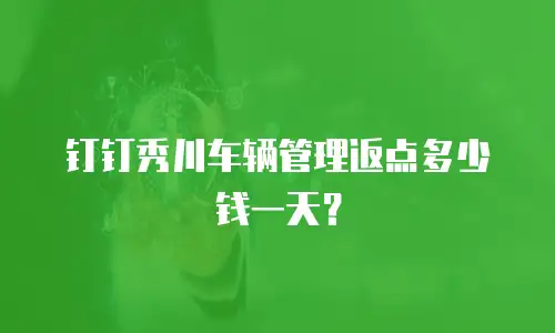 钉钉秀川车辆管理返点多少钱一天？