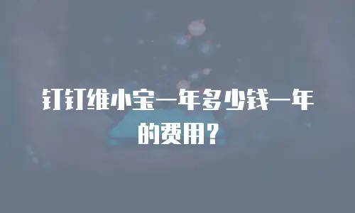钉钉维小宝一年多少钱一年的费用？